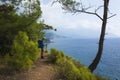 Hiking on Lycian way. Man with backpack enjoys view blue sea water of Mediterranean coast under coniferous trees