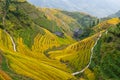 Longji Rice Terraces, Guangxi, China Royalty Free Stock Photo