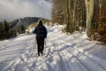 Hiking man in forest covered in snow during winter. Slovakia Royalty Free Stock Photo