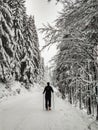 Hiking man in forest covered in snow during winter. Slovakia Royalty Free Stock Photo