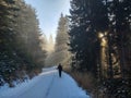 Hiking man in forest covered in snow during winter. Slovakia Royalty Free Stock Photo