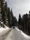 Hiking man in forest covered in snow during winter. Slovakia Royalty Free Stock Photo