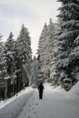 Hiking man in forest covered in snow during winter. Slovakia Royalty Free Stock Photo