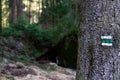 Hiking mark on the tree the in the woods Royalty Free Stock Photo