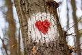 Hiking marking on a tree in the woods.The symbol of the heart in nature Royalty Free Stock Photo