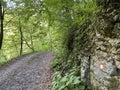 Hiking markings on the trail along the river Kupica according to its source, Donje Tihovo - Croatia / Planinarske markacije