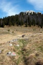 Hiking marks on stone and group mountaineers