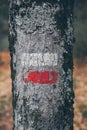 Hiking marks on a tree trunk. Red and white signal along hiking trail. Signal trail in the mountains. Hiking through the forest.