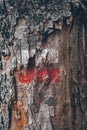 Hiking marks on a tree trunk. Red and white signal along hiking trail. Signal trail in the mountains. Hiking through the forest.