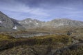 Hiking on Mccullough gulch trail in Colorado