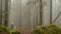 Hiking in misty morning at spring forest. Child and mother at footpath in woodland. Royalty Free Stock Photo