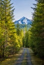 A hiking and mountain biking trail near Slocan Lake in British Columbia