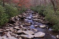 Hiking Through the Mountain Woods we Found a Small Rocky River