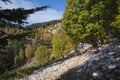 Hiking on mountains steep slope among trees in sunny day, Man is trekking Lycian Way, Trail from Alakilise Ruins to Finike Royalty Free Stock Photo