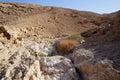 Nahal Amram near Eilat, South Israel