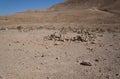 Hiking in Nahal Milhan, South Israel