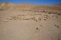 Hiking in Nahal Milhan, South Israel