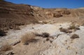 Hiking in Nahal Milhan, South Israel