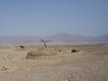 Hiking in Nahal Roded near Eilat, Israel