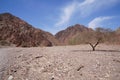 Hiking in Nahal Roded near Eilat, Israel