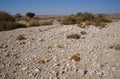 Hiking in Nahal Sharbit, South Israel