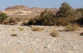 Hiking in Nahal Sharbit, South Israel