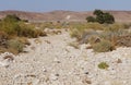 Hiking in Nahal Sharbit, South Israel