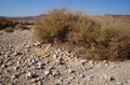 Hiking in Nahal Sharbit, South Israel