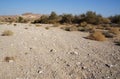 Hiking in Nahal Sharbit, South Israel