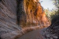 Zion National Park - Hiking the Narrows - USA Royalty Free Stock Photo