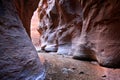 Hiking through the Narrows in Zion National Park Royalty Free Stock Photo