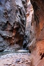 Hiking through the Narrows in Zion National Park Royalty Free Stock Photo