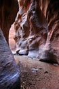 Hiking through the Narrows in Zion National Park