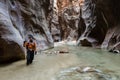 Hiking the Narrows in Zion NP Royalty Free Stock Photo