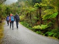 Hiking in National Parks, New Zealand Royalty Free Stock Photo