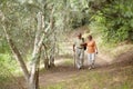 Hiking, nature and senior couple for fitness, walking stick and retirement exercise, wellness support or path in forest Royalty Free Stock Photo