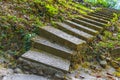 Hiking nature trail stairs tropical jungle forest Lamru Nationalpark Thailand Royalty Free Stock Photo