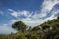 Hiking in nature with a view of a mountain in the distance with blue skies. Royalty Free Stock Photo