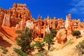 Bryce Canyon National Park, Hoodoos along Navajo Trail in Queen's Garden, Southwest, Utah, USA Royalty Free Stock Photo