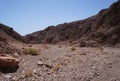 Hiking near Eilat in Israel Royalty Free Stock Photo