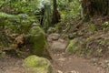 Hiking in New Zealand - North Island near Matamata