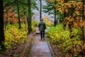 Hiking in the north woods on a rainy autumn day