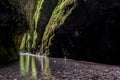 Hiking in Oneonta Gorge trail, Oregon. Royalty Free Stock Photo