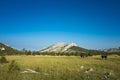 Hiking In Paklenica Velebit Mountains In Croatia Royalty Free Stock Photo