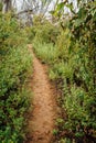 Hiking Path along Numbat Hiking Trail, Gidgegannup, Western Australia, Australia