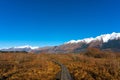 Hiking path along wild alpine vegetation