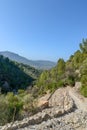 Hiking path in the beautiful nature of mallorca
