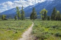 Hiking path below the Grand Teton mountains in Wyoming on a sunny day Royalty Free Stock Photo