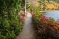 A hiking trail curves through a forest in brilliant fall colors along the shore of a lake Royalty Free Stock Photo