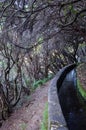 Hiking path in dark laurel forest, part of Levada 25 Fontes in Madeira island, Portugal. Irrigation system canal, narrow